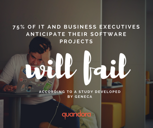 Quandora-difficult-manage-team-developers